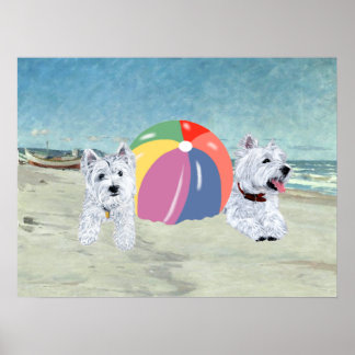 http://rlv.zcache.co.uk/westies_with_a_beach_ball_poster-rd3257529b2d44e59844f52618ebf61f2_ijf_8byvr_324.jpg