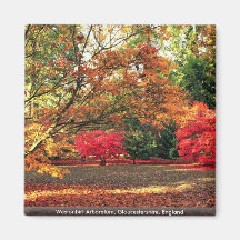 Westonbirt Arboretum, Gloucestershire, England Refrigerator Magnet