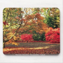 Westonbirt Arboretum, Gloucestershire, England Mouse Pads