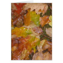 Wet autumn leaves greeting card