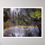 wet canvas posters