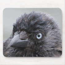 Wet Crow Mousepad