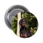 Wet Gordon Setter Button