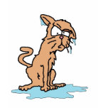 wet kitty t-shirts
