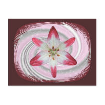 Wet Lily Swirl ~ postcard