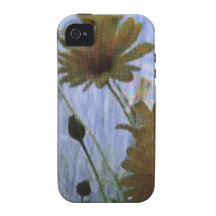 Wet marguerites. iPhone 4/4S cases