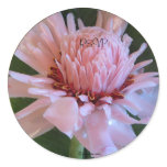 Wet Pink Torch Ginger Wedding Envelope Seals stickers