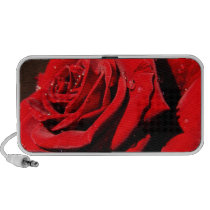 Wet Red Rose Speaker speakers