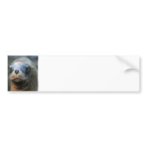 Wet Seal Bumper Sticker