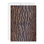 Wet tree bark invitations