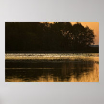 Wetland at sunset in silhouette posters