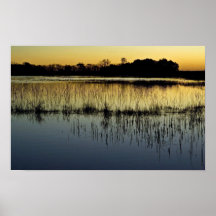 Wetland at sunset poster