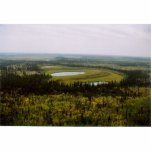 Wetland bog on YFNational Wildlife Refuge photo sculptures
