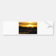 Wetland Gold Bumper Stickers