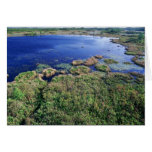 Wetland habitat at Okefenokee National Wildlife Re cards