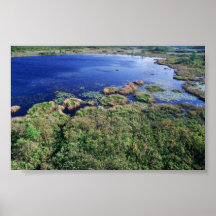 Wetland habitat at Okefenokee National Wildlife Re Posters