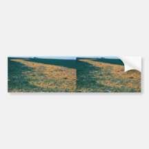 Wetland in California Bumper Sticker
