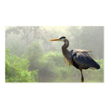 Wetland Management Business Cards