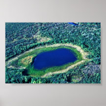 Wetland Pond Poster