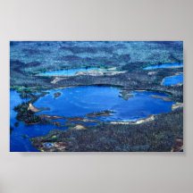 Wetland Ponds in Summer Posters