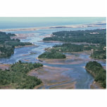 Wetland, South Slough Coos Bay, OR photo sculptures