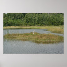 Wetland Whisper Poster