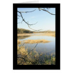 Wetland Wonderland cards