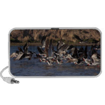 Wetlands Flight OrigAudio Doodle Speaker