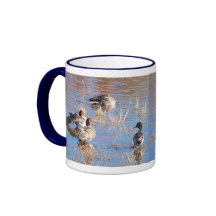 Wetlands Pintail Ducks Mug