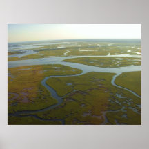 Wetlands Print