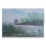 wetlands, Texas cards