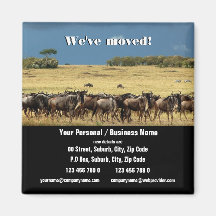 We've moved announcement refrigerator magnet