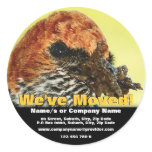 We've moved announcement template stickers