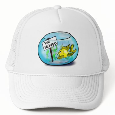 Fish Tank Details