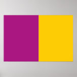 Wexford, Ireland flag Poster