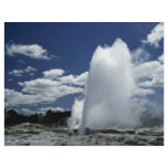 Whakarewarewa, Pohutu geyser, Rotorua, New Zealand flyers