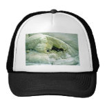 Whakarewarewa Thermal Area Trucker Hats