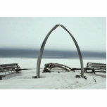 Whale Bone Rib Arc and Skin Boat Frames at Barrow, photo sculptures