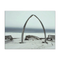 Whale Bone Rib Arc and Skin Boat Frames at Barrow, Postcard