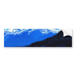 Whale bumper stickers