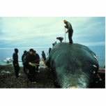 Whale Butchering photo sculptures