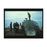 Whale Butchering postcards