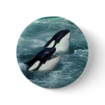 Whale buttons