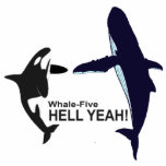 Whale-Five. photo sculptures