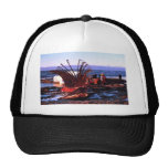 Whale Killer Hats