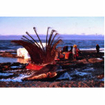 Whale Killer photo sculptures