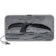 whale laptop speaker