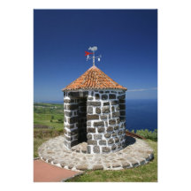 Whale lookout invite