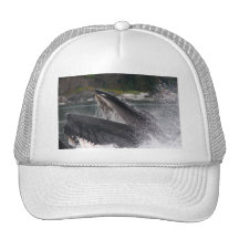 whale mesh hat