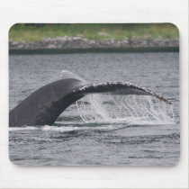 Whale mousepads